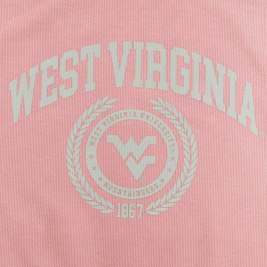 Close up of the West Virginia arched over a faux seal with the Flying WV Logo surrounded by laurel screen printed in a cool grey ink on the urban pink WVU chickad crew sweatshirt